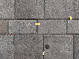 An overhead full-frame view of rectangular grey concrete pavers, with a few scattered yellow and white leaves.