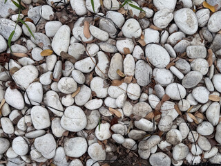 White and grey pebbles creating a natural border between dark paving stones, with sparse green...