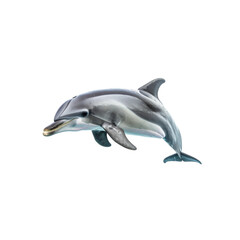 Graceful marine mammal dolphin jumping in blue ocean water, isolated on white