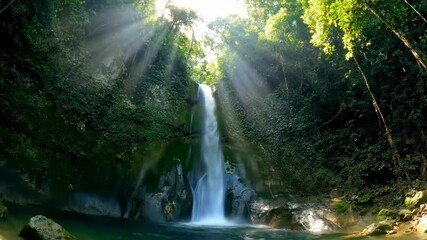 Underwater View of River with Rocks and Algae Motion