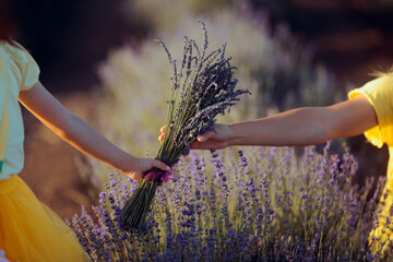 Child Gives Mother a Bouquet of Lavender as a Sign of Appreciation. Grateful kid bonding with mom...