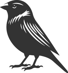 Finch bird black vector drawing silhouette illustration