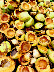 Pile of Empty Coconut Shells in Vibrant Natural Texture and Color