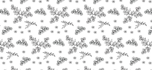 Botanical seamless pattern with hand-drawing flower in black color on a transparent background