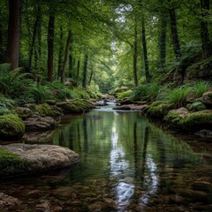 Obraz premium Serene forest stream (1)