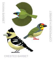 Bird Barbet Taiwan Crested Coppersmith Set Cartoon Vector