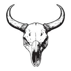 Fototapeta premium Black and white illustration of a bull skull with large horns. Vector illustration 