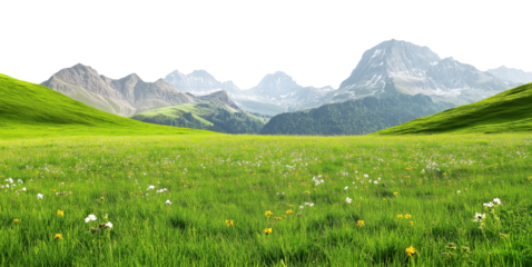 Lush green meadow filled with wildflowers and distant mountain peaks isolated on transparent background