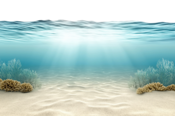 Underwater view showing crystal clear turquoise water with sandy ocean floor and marine vegetation, isolated on transparent background
