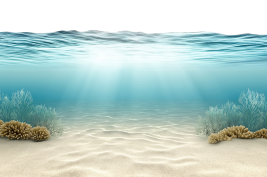 Underwater view showing crystal clear turquoise water with sandy ocean floor and marine vegetation, isolated on transparent background