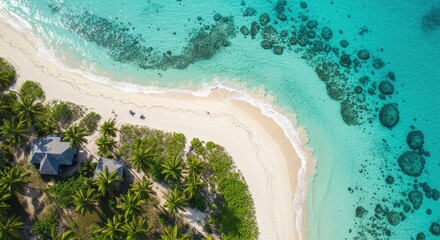 Aerial view of a serene tropical beach with clear turquoise waters, soft white sand, and palm trees