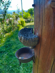A bird feeder attached to a wooden post in a garden