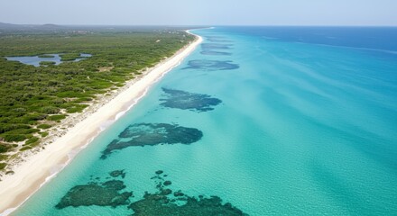 Aerial view of a serene tropical beach with clear turquoise waters and lush green coastline