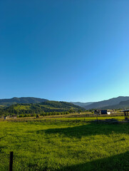 Grassy field with a fence in the middle against the background of the hills