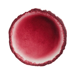 Top Down View of a Single Grainy Red Circular Object on Transparent Backdrop Photorealistic