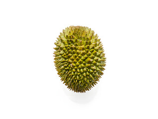 Exotic Durian Fruit A Close-Up View of the King of Fruits