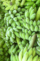 close up of fresh unripe banana, harvested tropical fruit green background