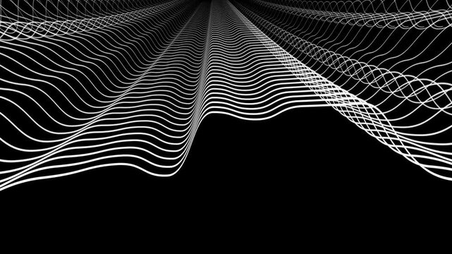 Abstract Spider Web Animation on Black Background 4K Loop