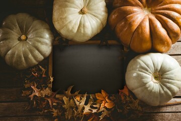 Diverse pumpkin surround black screen and leaf