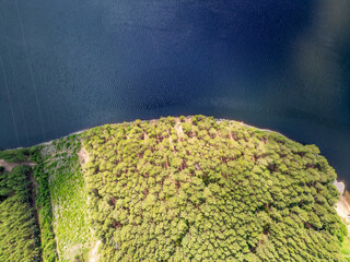 Aerial view of lake or river green shore with forest. Summer season.
