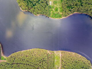 Aerial view of lake or river green shore with forest. Summer season.