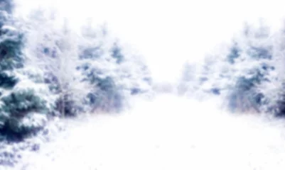 Vitrage gordijnen Snow covered trees on field © vectorfusionart
