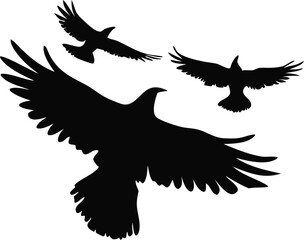 Obraz premium Flying Birds Silhouette Vector Set | Black Winged Animal Clipart Design