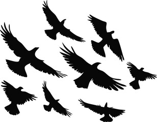 Obraz premium Flying Birds Silhouette Vector Set | Black Winged Animal Clipart Design
