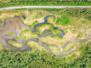 Aerial view of lake or river green shore with forest. Summer season.
