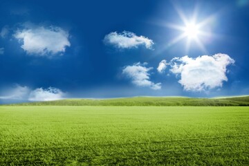 Expansive green field is stretching under deep blue sky with fluffy white clouds in flat design