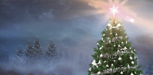 Fototapeta premium Christmas tree in snowy forest
