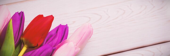 red, purple and pink tulip bouquet is resting on pale wooden surface, flat design, copy space