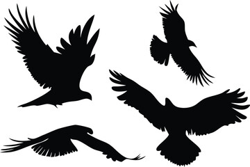 Obraz premium Flying Birds Silhouette Vector Set | Black Winged Animal Clipart Design
