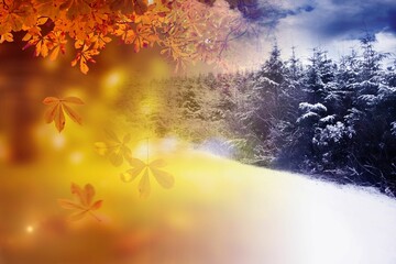 Autumn changing to winter