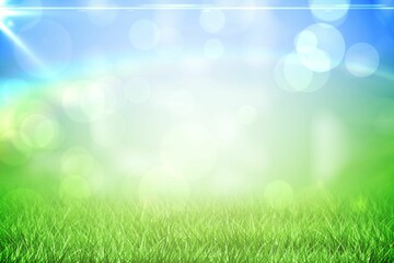 Fototapeta premium Grass under a sunny blue sky