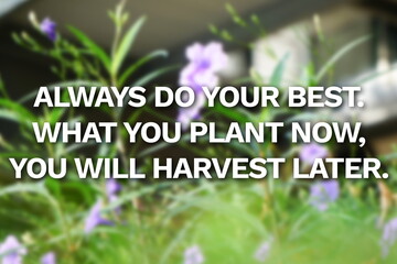 Inspirational life quote on blurry background. Always do your best.  What you plant now, you will...