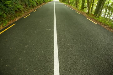 Vitrage gordijnen Flat-design asphalt road is curving into forest canopy with white center line and yellow markers © vectorfusionart