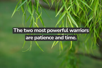 Inspirational life quote on blurry background. The two most powerful warriors are patience and time.