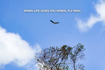 Inspirational life quote on blurry background. When life gives you wings, fly high.