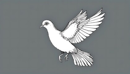 Fototapeta premium dove of peace in the sky