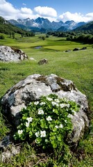 Serene Mountain Valley Landscape with Wildflowers Blooming on Rocks