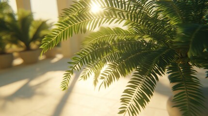 Lush Fern Fronds in Soft Sunlight, Indoor Garden Oasis