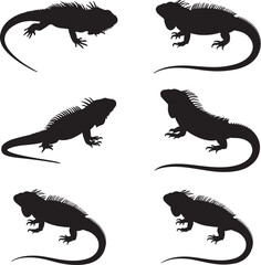 Collection of black iguana silhouettes in Various poses isolated on white background