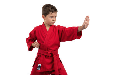 Focused young boy in red gi practices martial arts with determined expression and strong stance