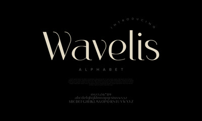 High-contrast modern serif font with clean curves and stylish elegance, ideal for high-end design and branding