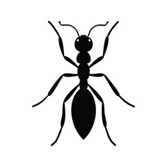 vector illustration of a mosquito