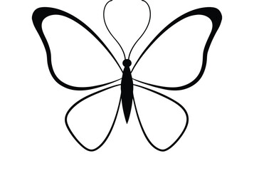butterfly vector illustration