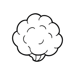 human brain icon