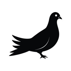 pigeon silhouette vector