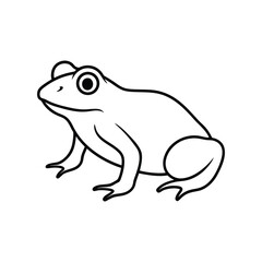 frog on white background